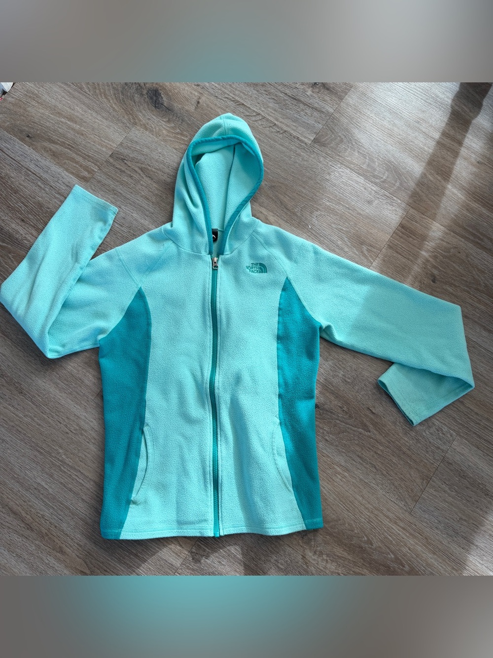 The North Face Aqua & Teal Hooded Fleece Jacket
